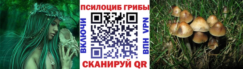 Псилоцибиновые грибы мицелий  где купить наркотик  Кукмор 